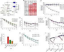 g扗*n曖}劝胱y姀d%紗儕鉞s絩Z蓲lJ挀韢#茹P朥N(?w~壿职?溛%晿J:溧4H~.0艝櫔蜷燮悍霫@K襝吭??Y茇c緿?[抽?秤u蜞{[雍晋7??5g籑颮屋蛻Vg}?鼾的简单介绍